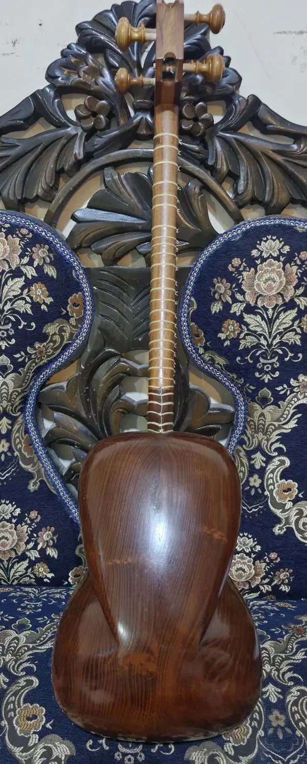 ساز تار ایرانی|سازهای سنتی|هشتگرد, شهرک بعثت|دیوار