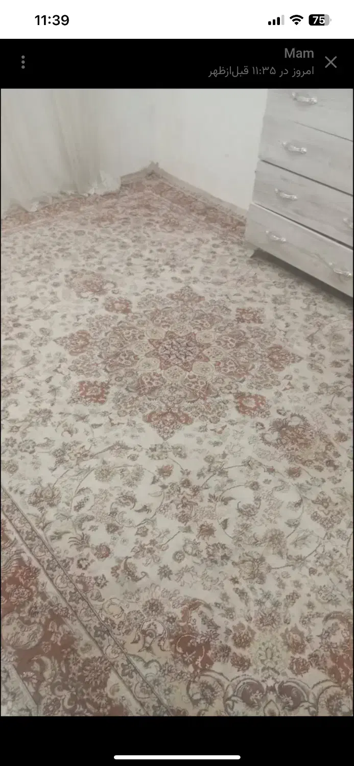 فرش ۶ متری|فرش|مشهد, کوی المهدی|دیوار