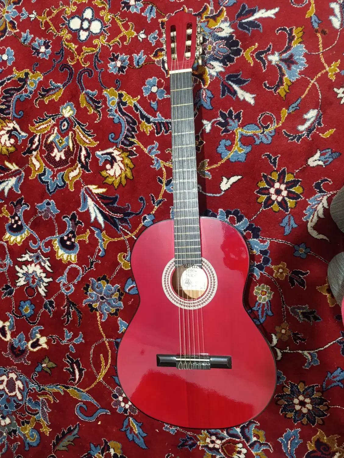 گیتار کلاسیک|گیتار، بیس، امپلیفایر|زاهدان, |دیوار