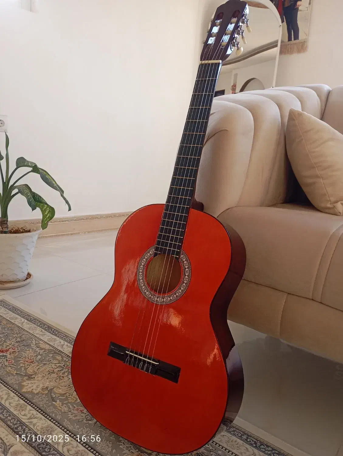 گیتار کاملا نو بدون استفاده|گیتار، بیس، امپلیفایر|فارسان, |دیوار