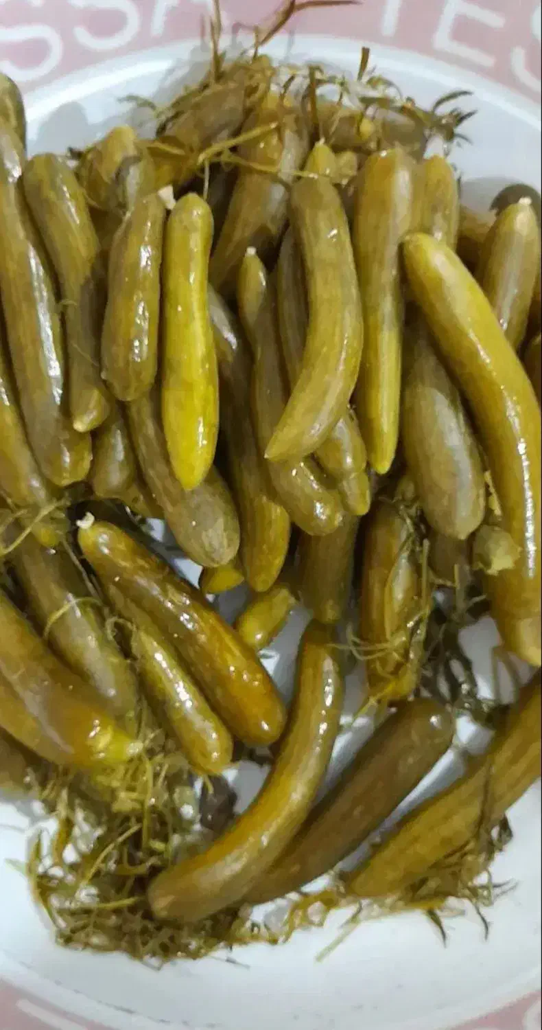 خیارشور|خوردنی و آشامیدنی|نیشابور, ده حلاج|دیوار