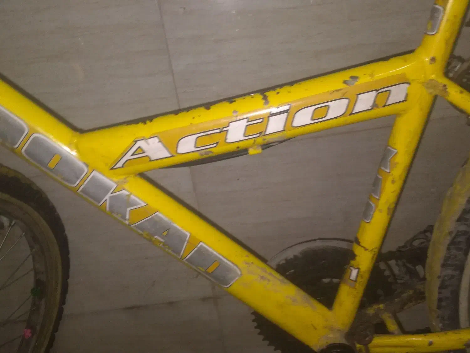 دوچرخه|دوچرخه، اسکیت، اسکوتر|کرج, حسین‌آباد|دیوار