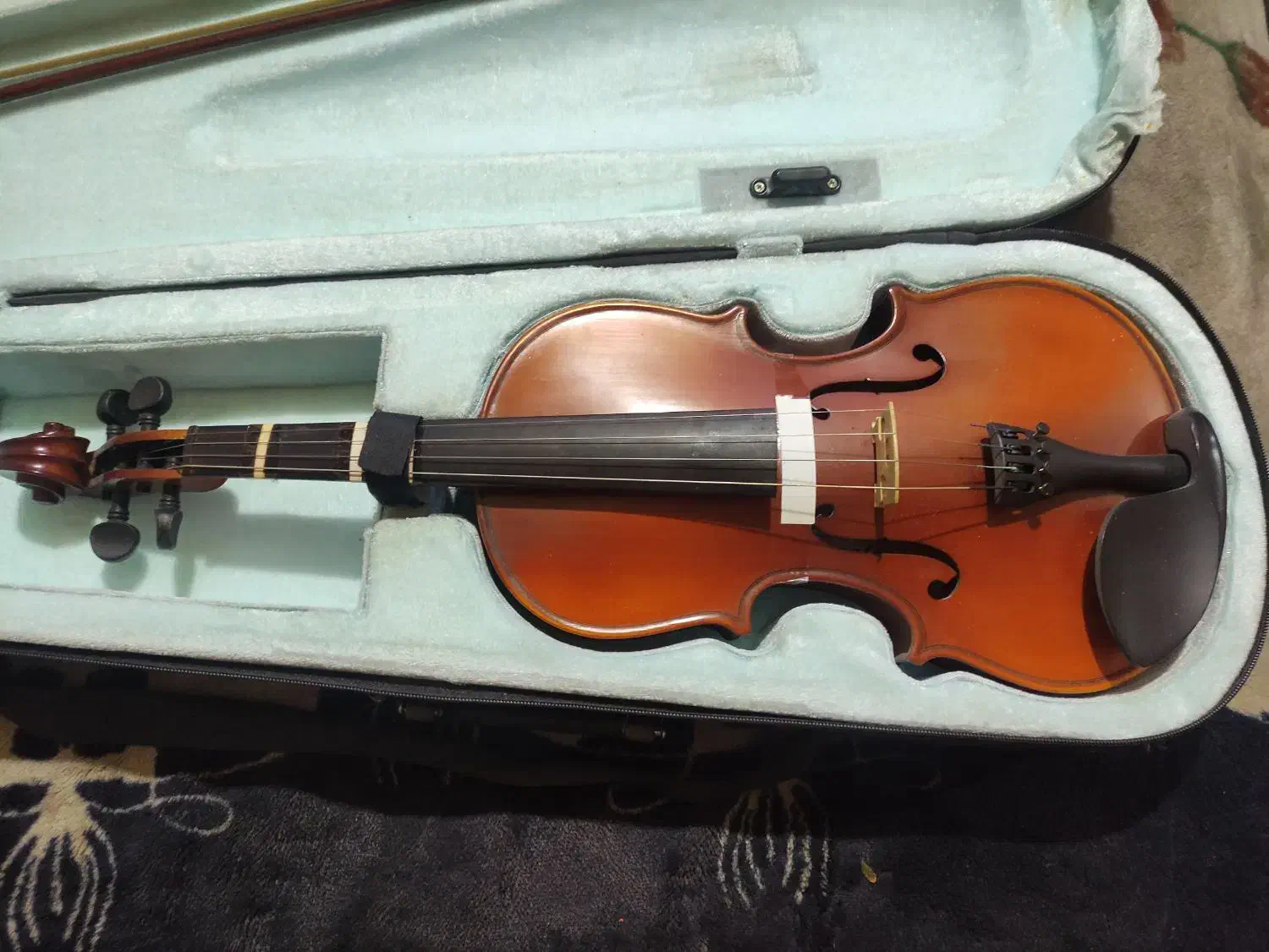 ویولن|ویولن|اهواز, پردیس|دیوار