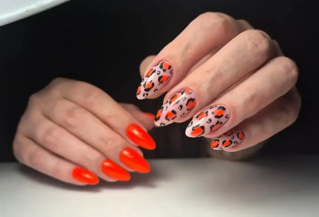 کاشت ناخن‌ ۳۵۰ تومان|خدمات آرایشگری و زیبایی|مشهد, تربیت (صدف)|دیوار