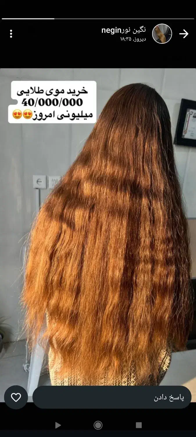 موهای طبیعی بانوان میخرم|آرایشی، بهداشتی، درمانی|کازرون, |دیوار