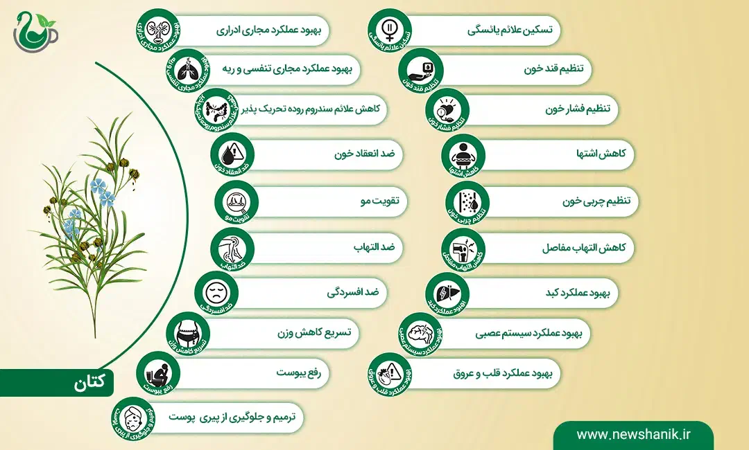 روغن تخم کتان|خوردنی و آشامیدنی|تهران, سید خندان (جلفا)|دیوار