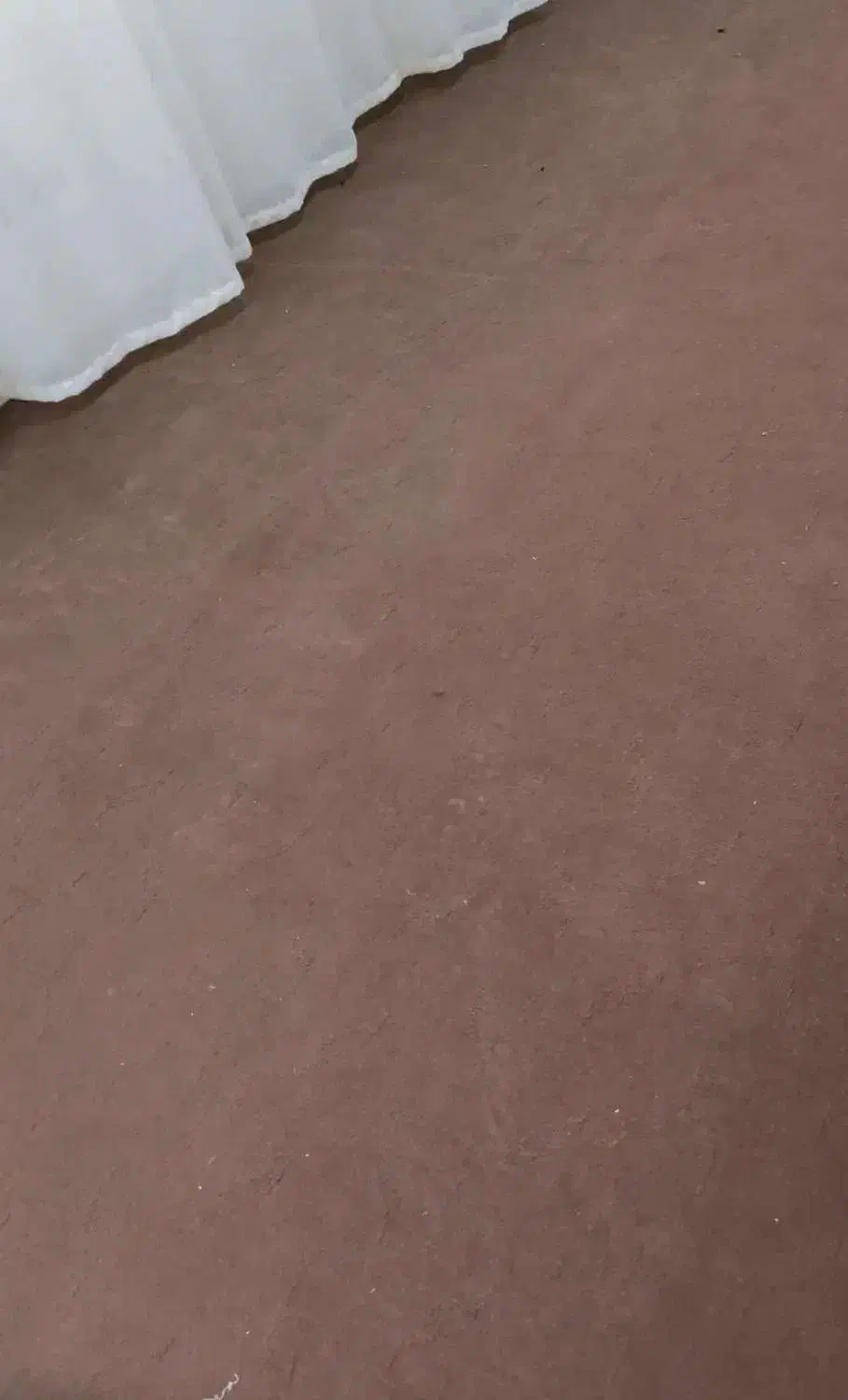 موکت|موکت|عسلویه, |دیوار