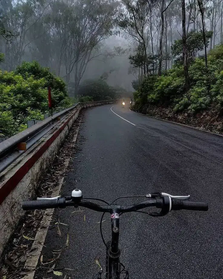 راهنمایی|فعالیت داوطلبانه|رشت, بلوار گیلان|دیوار
