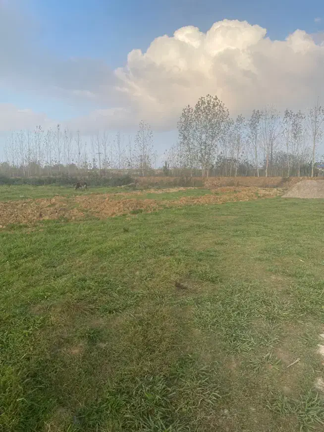 زمین ۱۶۹ متری فلکده|فروش زمین و ملک کلنگی|رشت, سلیمانداراب|دیوار