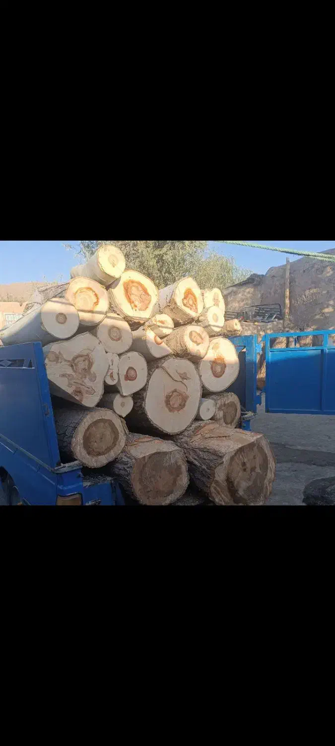 خرید چوب|خدمات باغبانی و درختکاری|فرمهین, |دیوار