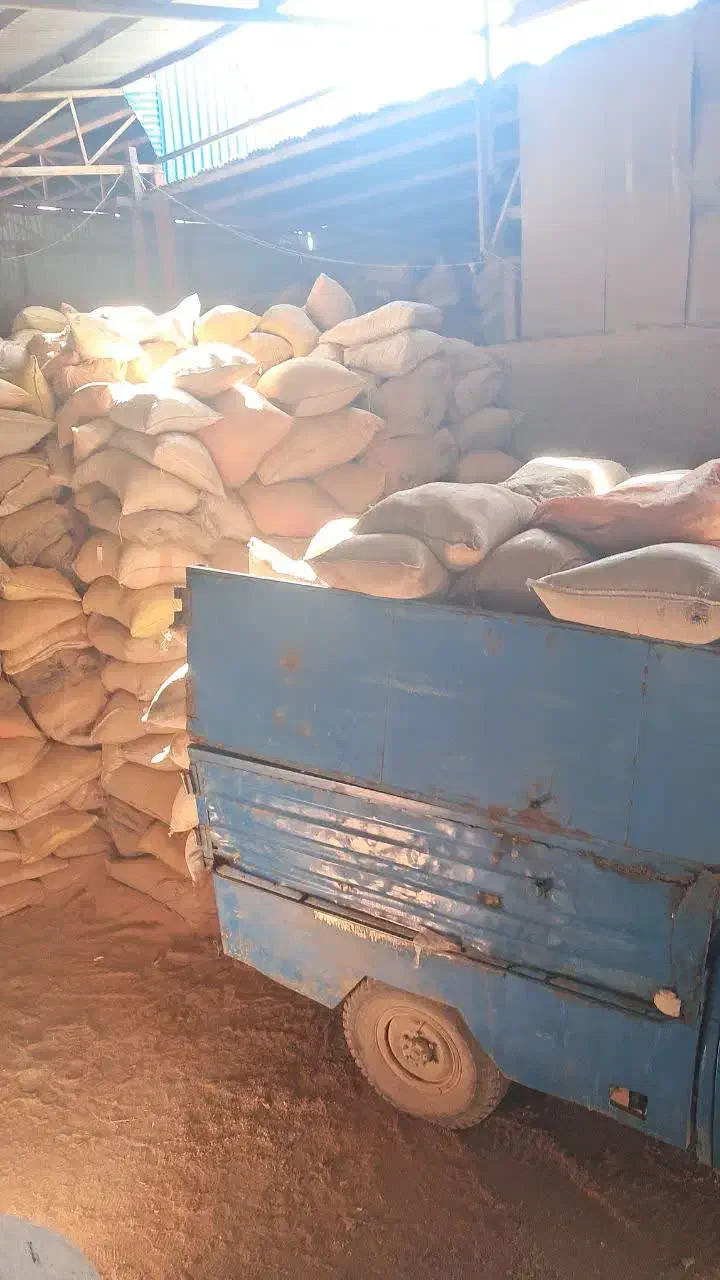 خاک اره وپوشال|عمده‌فروشی|خمینی‌شهر, |دیوار