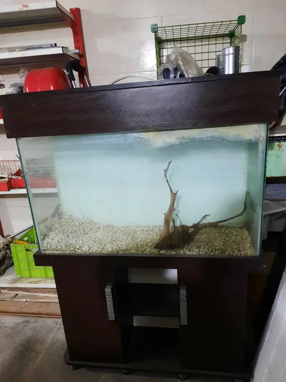 آکواریوم|ماهی|تهران, گلستان (شهرک راه آهن)|دیوار