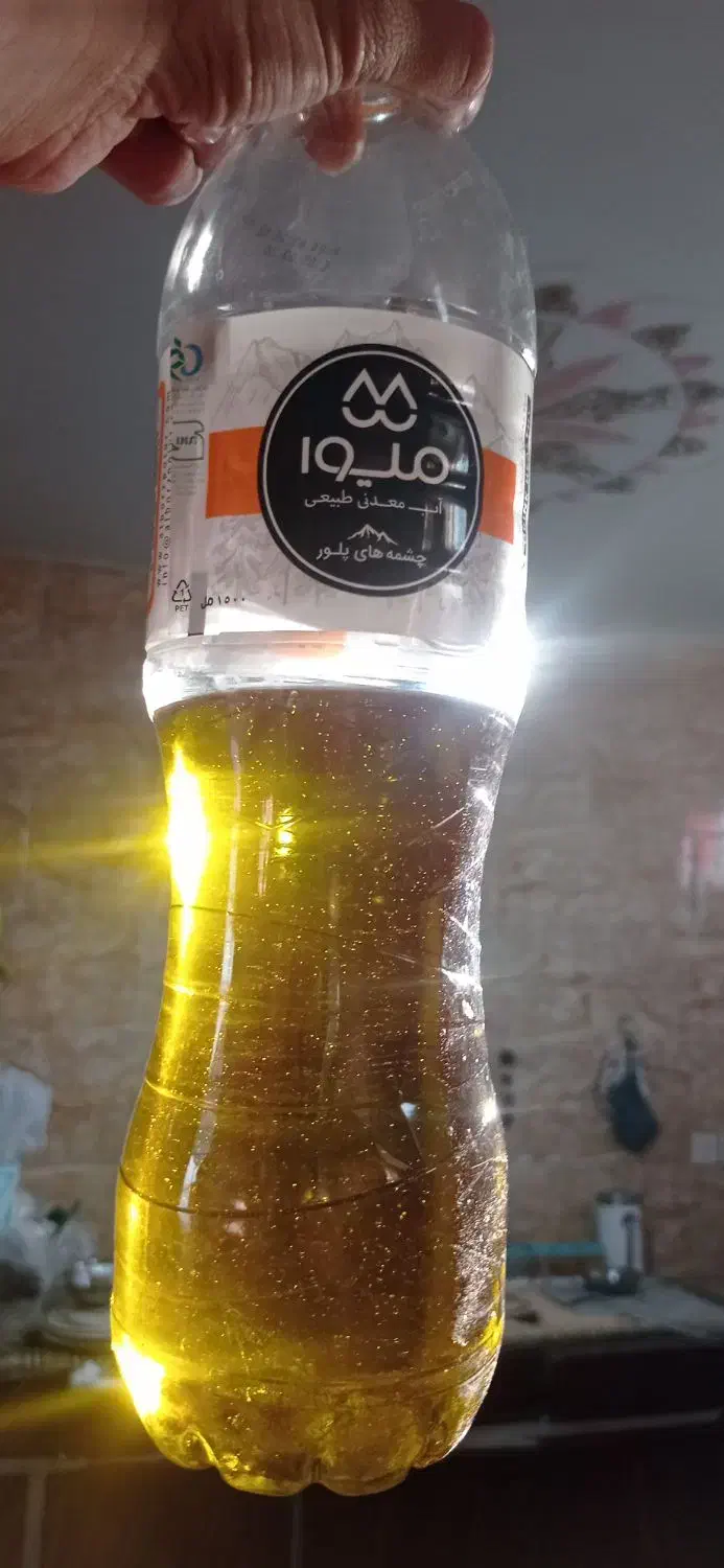 روغن زیتون ارگانیک،اصل واسه باغ خودمون|خوردنی و آشامیدنی|مرودشت, بیست متری بیمارستان|دیوار