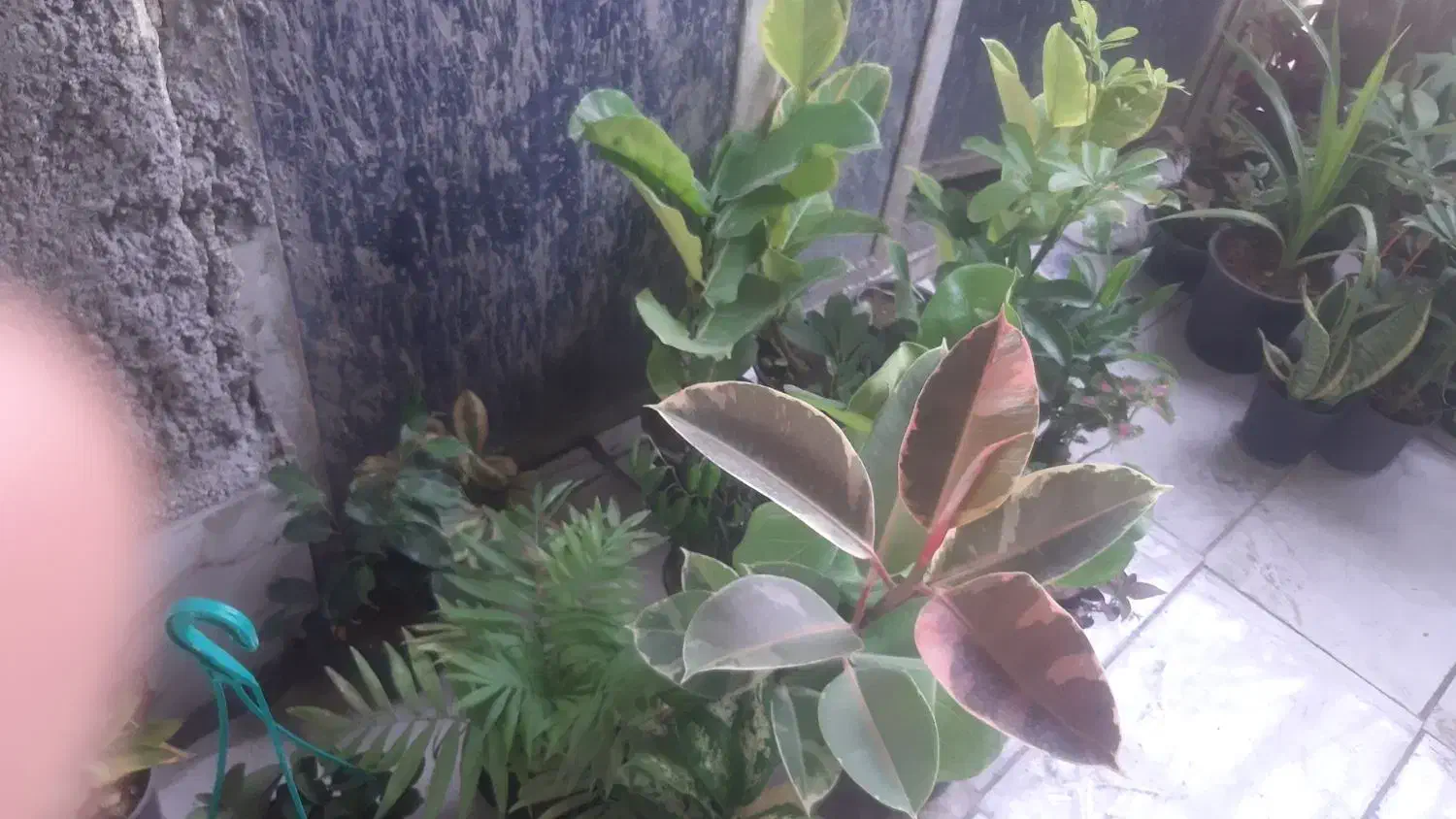 اسباب بازی ها|کلکسیون و سرگرمی|سراوان, |دیوار