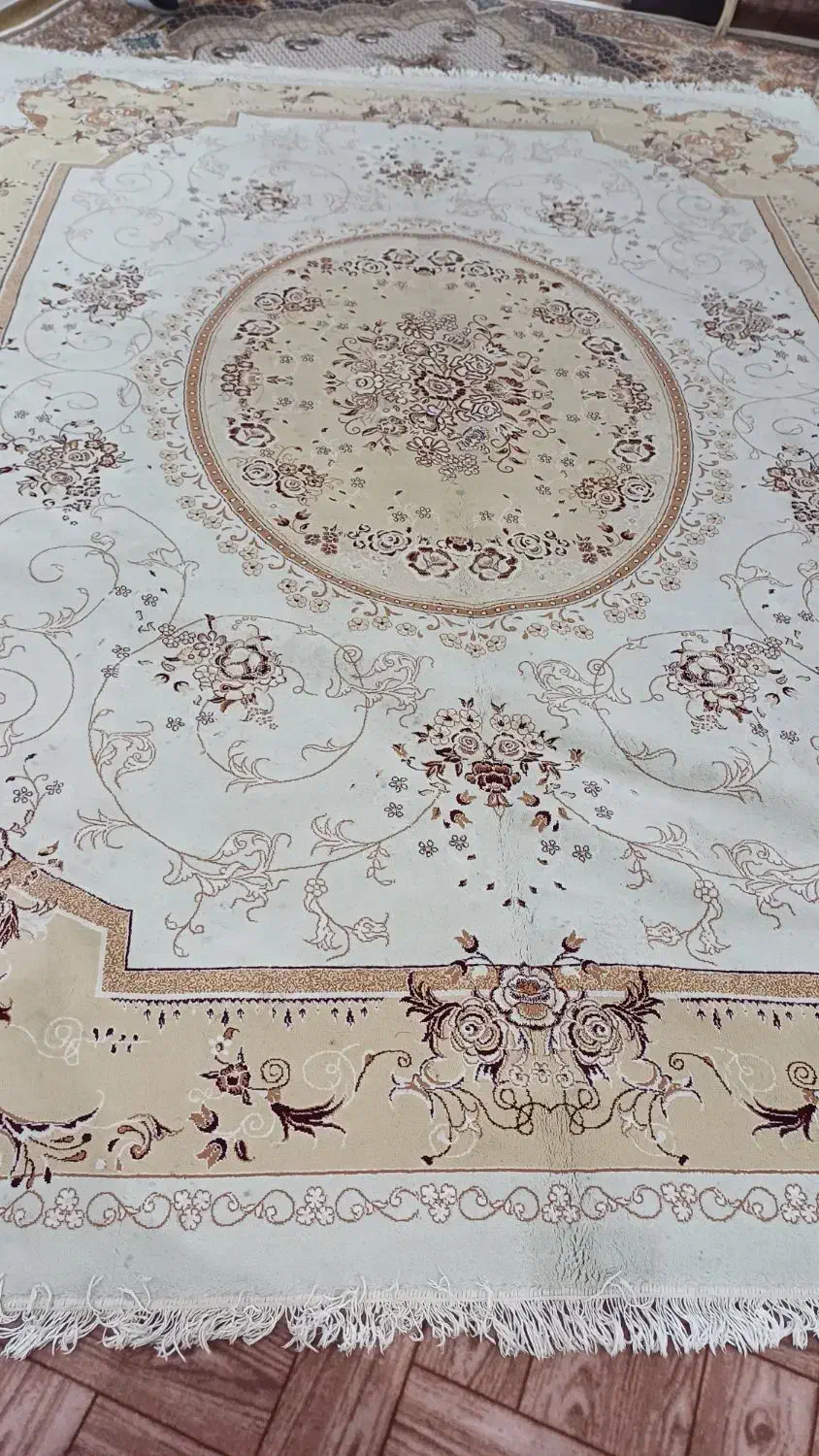 دوجفت فرش 12متری|فرش|پارس‌آباد, |دیوار