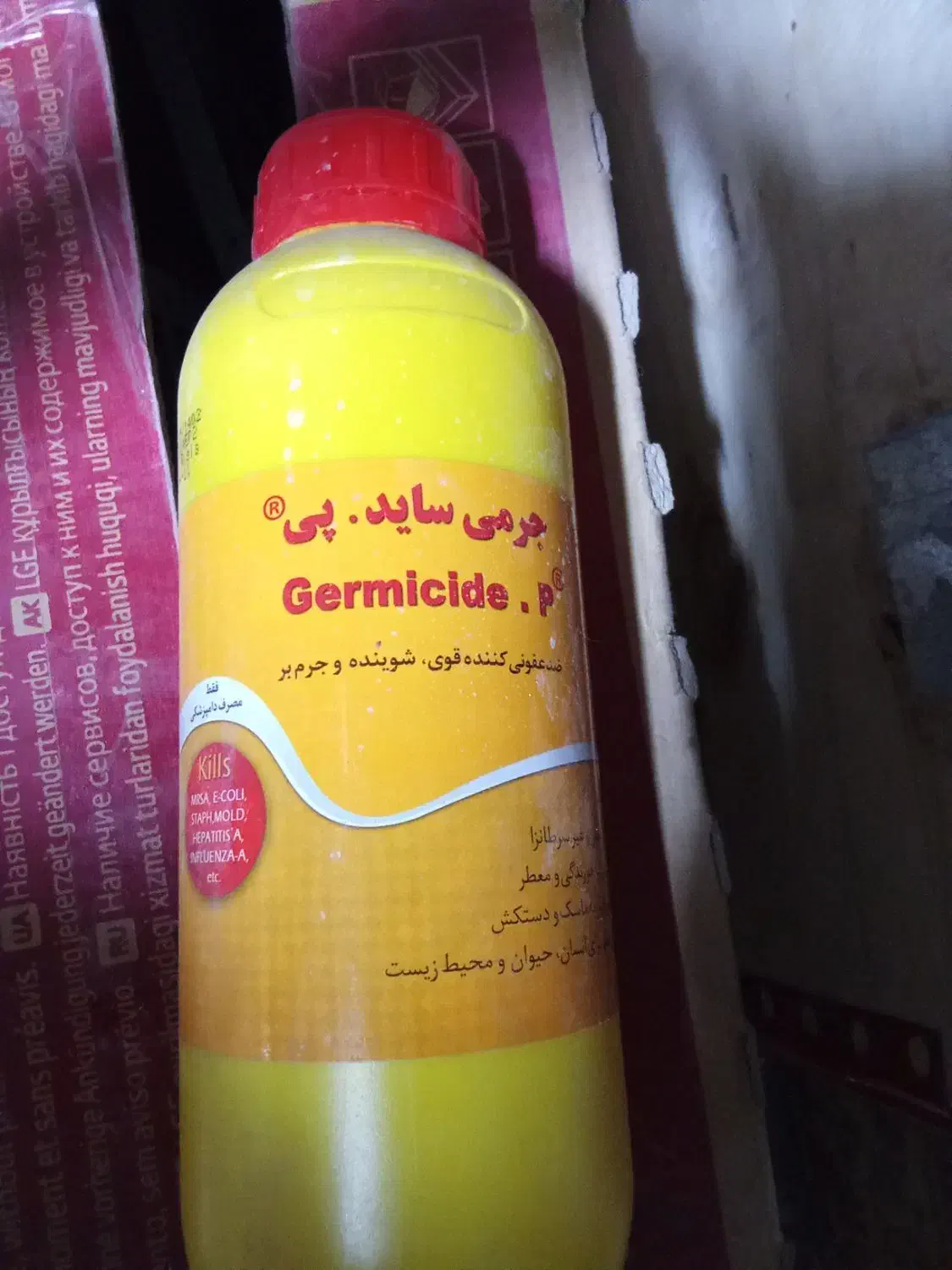 سم آکورد سالن قارچ|خدمات باغبانی و درختکاری|تبریز, |دیوار