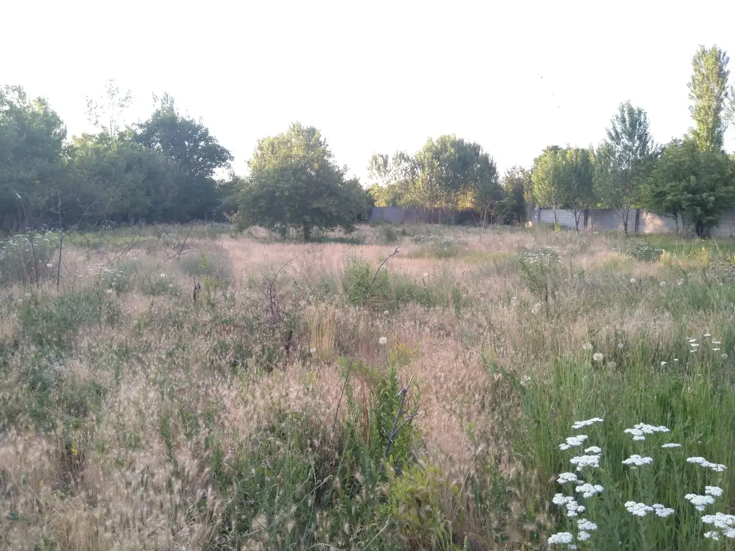 نیازمند خانم جهت نظافت ویلا|استخدام سرایداری و نظافت|تبریز, |دیوار