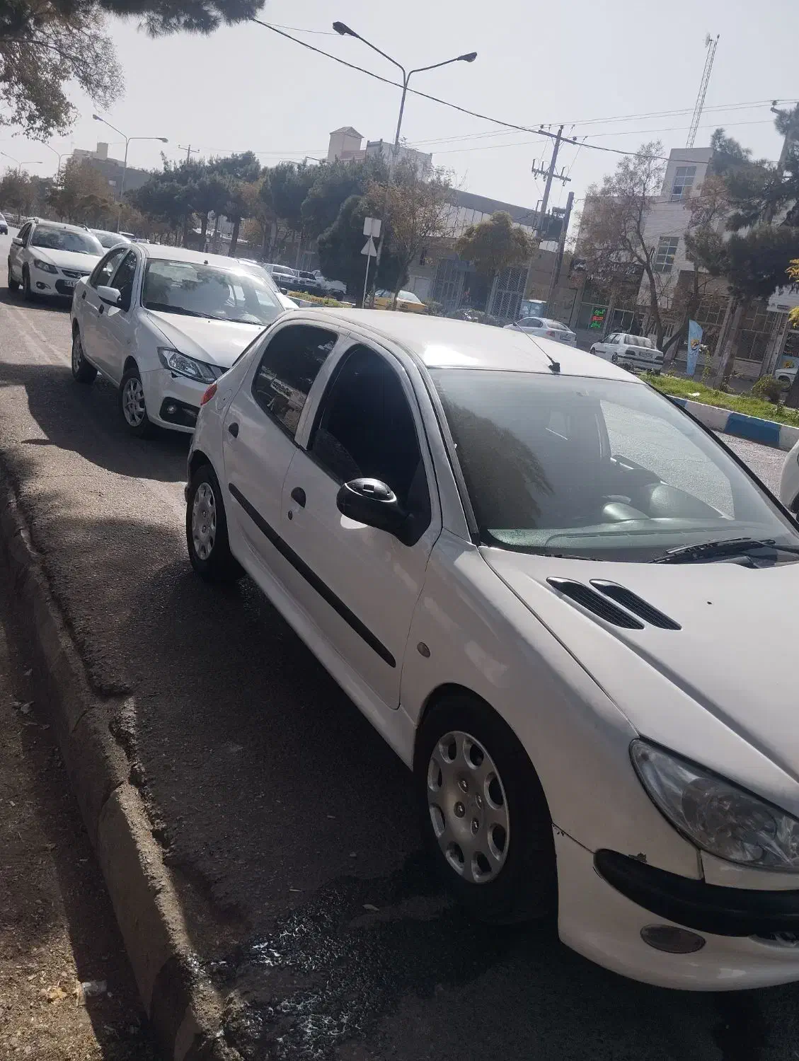 پژو 206 مدل 81|خودرو سواری و وانت|تربت جام, یحیی آباد|دیوار