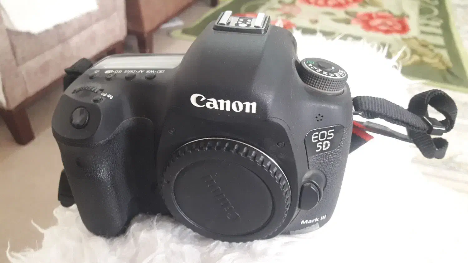 دوربین کنون فایو D با لنز ۱۰۵×۲۴|دوربین عکاسی و فیلم‌برداری|مسجد سلیمان, |دیوار