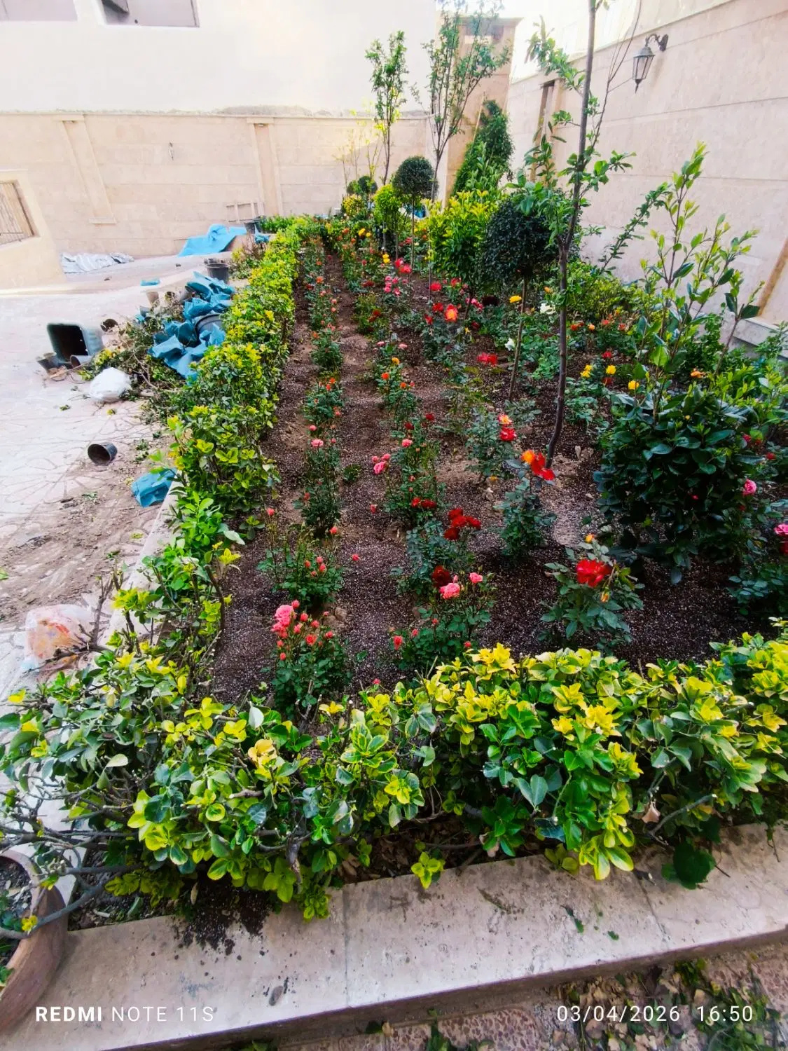 خدمات باغبانی کاشت گل فضای سبز خاک گلدان باغبان|خدمات باغبانی و درختکاری|تهران, پاسداران|دیوار
