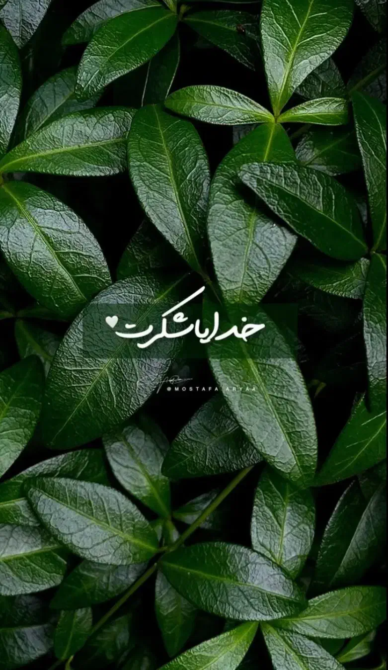گم شده|اشیا|قم, کیوانفر|دیوار