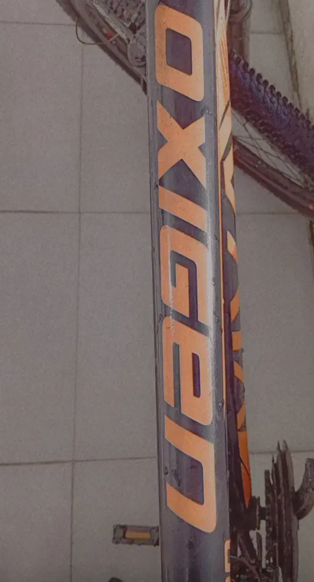 دوچرخه ۲۶|دوچرخه، اسکیت، اسکوتر|پرند, فاز ۴|دیوار