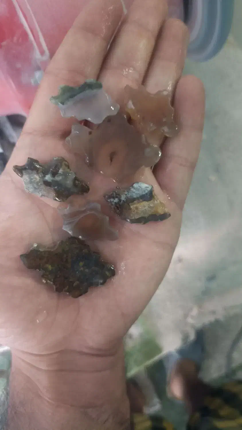 ساخت اکسسوری با سنگ های قیمتی و نیمه قیمتی|زیورآلات و اکسسوری|ساری, |دیوار