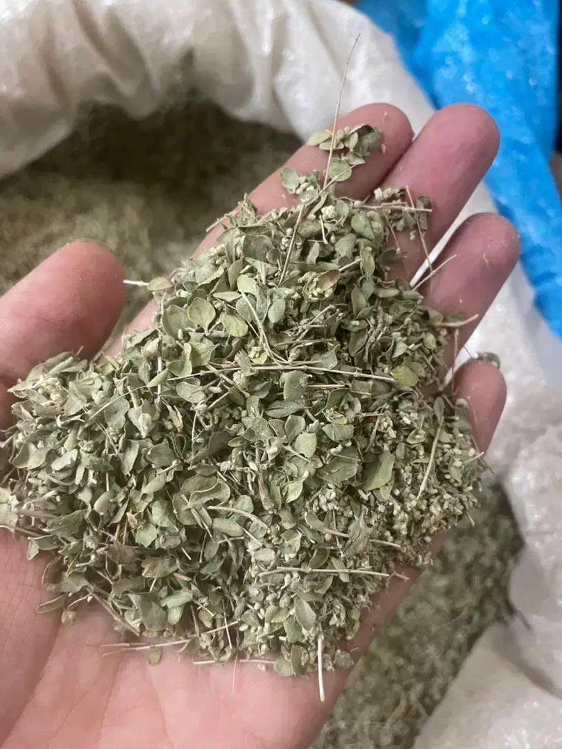 آویشن کوهی|خوردنی و آشامیدنی|مشهد, مقدم|دیوار