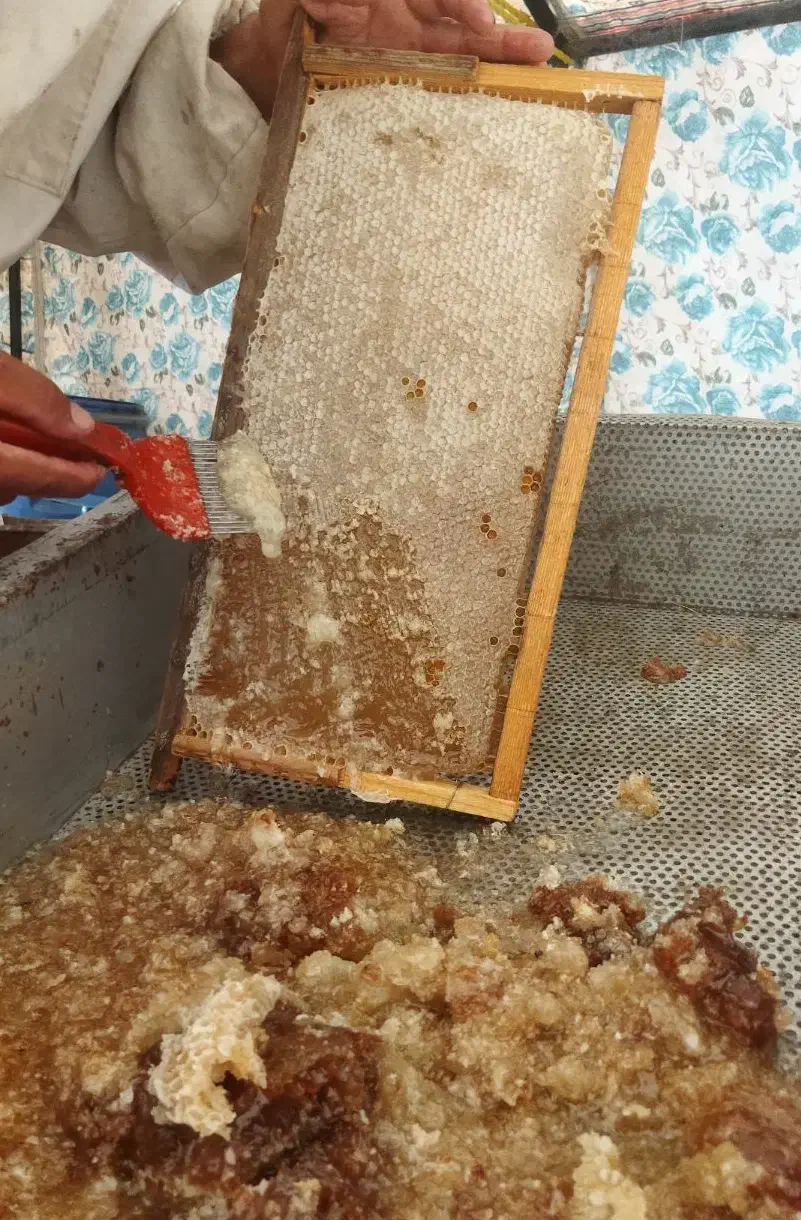 عسل  کنار|عمده‌فروشی|برازجان, |دیوار