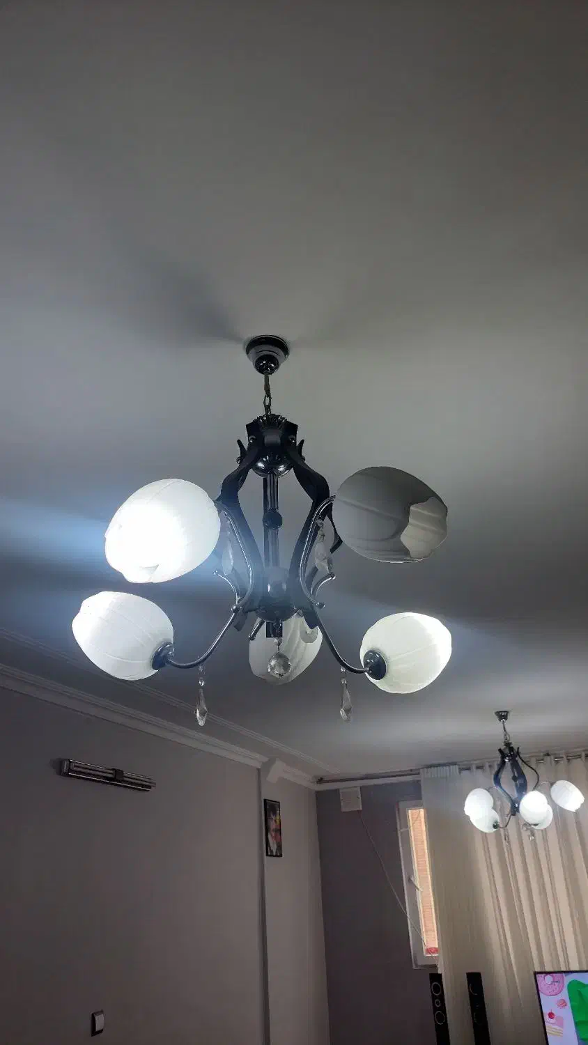 لوستر|لوستر و چراغ آویز|شیراز, شاه قلی بیگی|دیوار