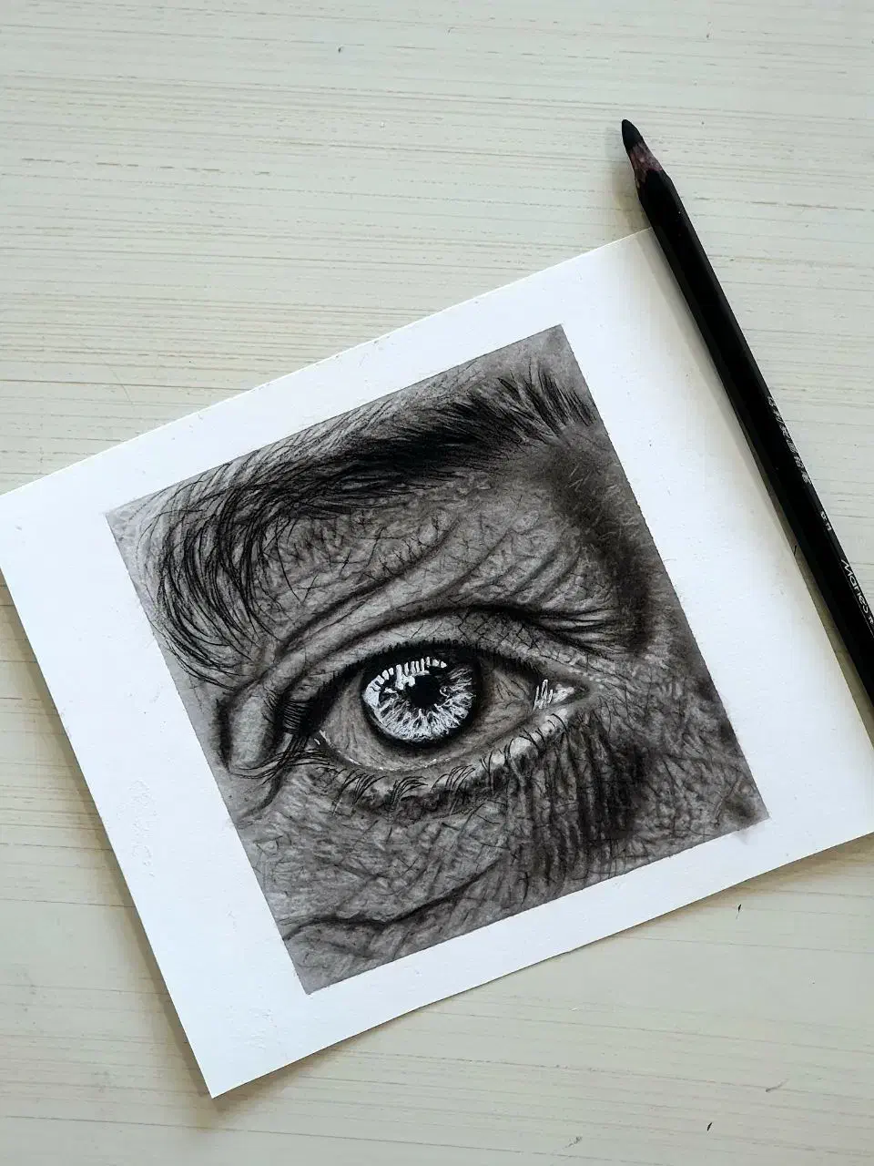 سفارش نقاشی چهره سیاهقلم|تابلو، نقاشی، عکس|سقز, |دیوار