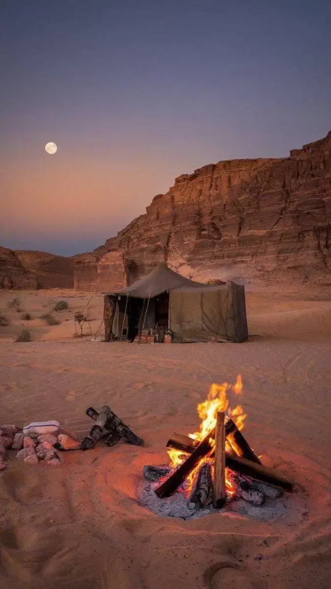 تور گشت و کمپ ساحلی|تور و چارتر|قشم, |دیوار