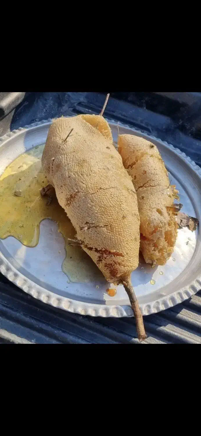 عسل طبیعی کوهی|خوردنی و آشامیدنی|تهران, تجریش|دیوار