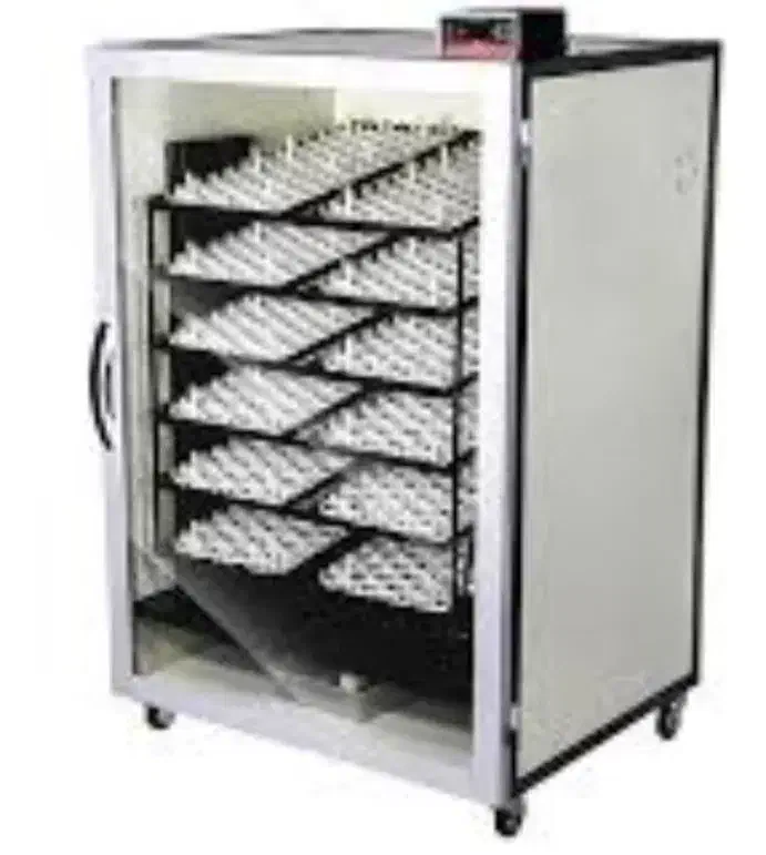 جوجه کشی ۱۰۰۸ تای خورموج|لوازم جانبی حیوانات|بوشهر, |دیوار