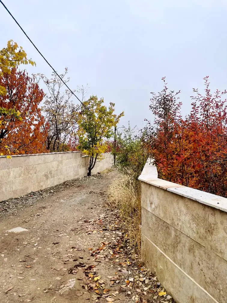 زمین شهرکی کردان فشند 665 متر چسب بافت|فروش زمین و ملک کلنگی|هشتگرد, فشند|دیوار