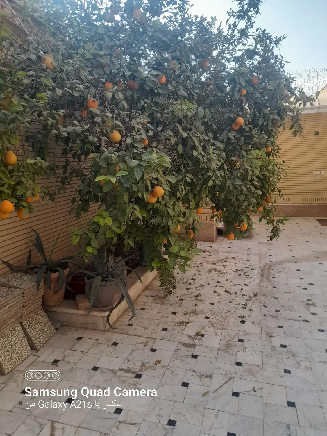 سوئیت ۷۰ متری ،امیر کبیر ، کوچه جمال راه جدا|اجارهٔ آپارتمان|کاشان, امیرکبیر|دیوار