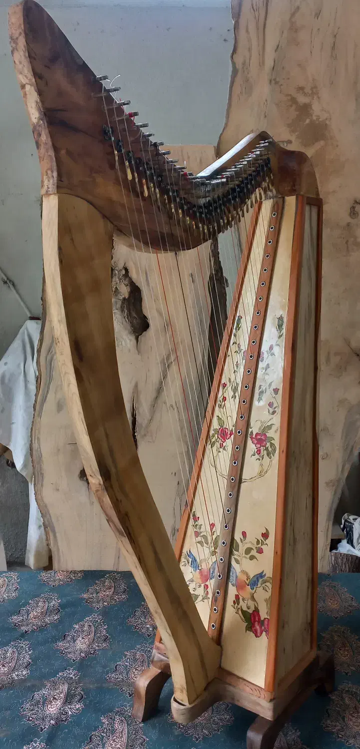 ساز چنگ(هارپ) سلتیک برند نقابی|گیتار، بیس، امپلیفایر|گرگان, |دیوار