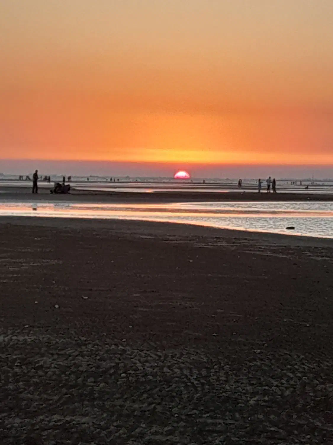 یک عدد اتکت  بنام داود هدایی گم شده|اشیا|بندرعباس, |دیوار