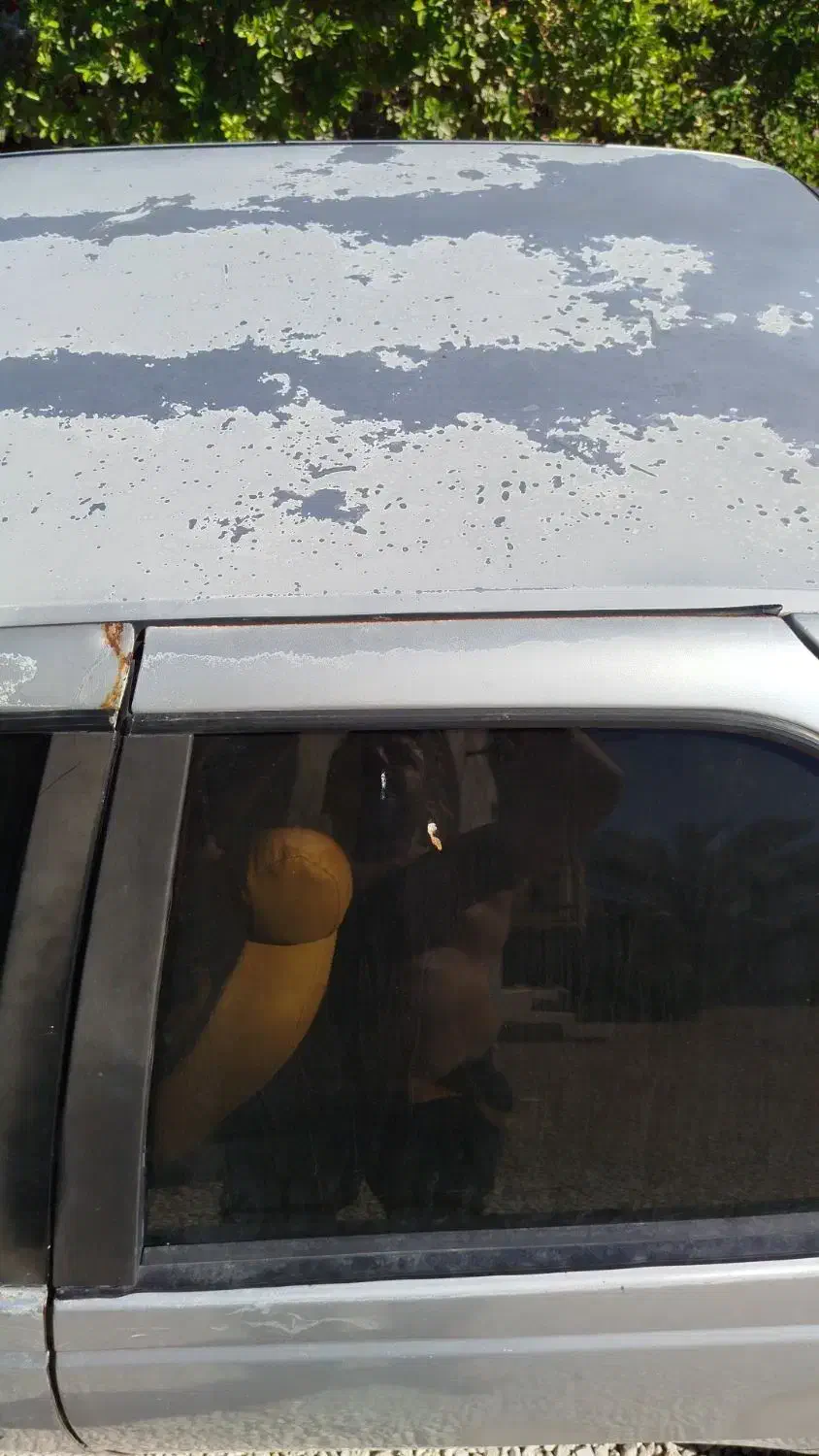 پژو 405|خودرو سواری و وانت|آبپخش, |دیوار