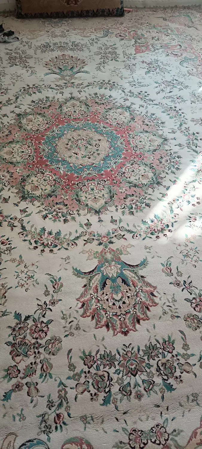 دو عدد فرش ۱۲ متری تولید سال ۱۳۵۰ فروشی|فرش|تربت جام, میان جام|دیوار