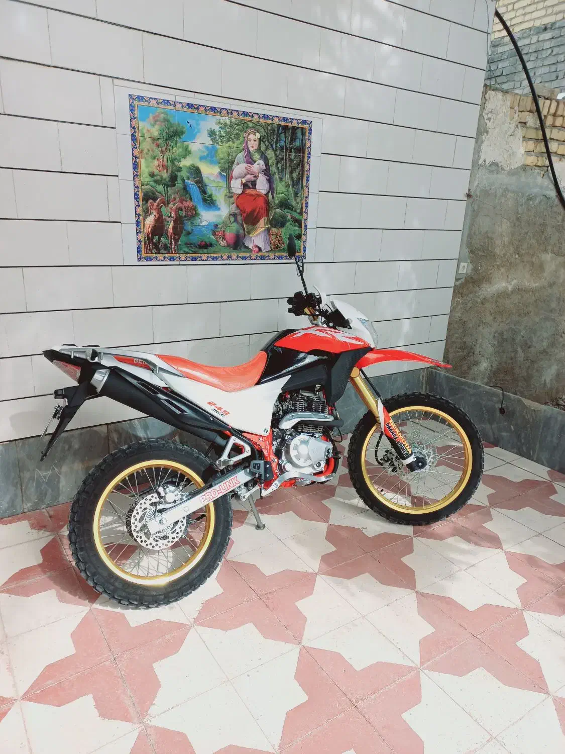 تریل برمودا ۲۵۰|موتورسیکلت|شیراز, گل سرخ|دیوار