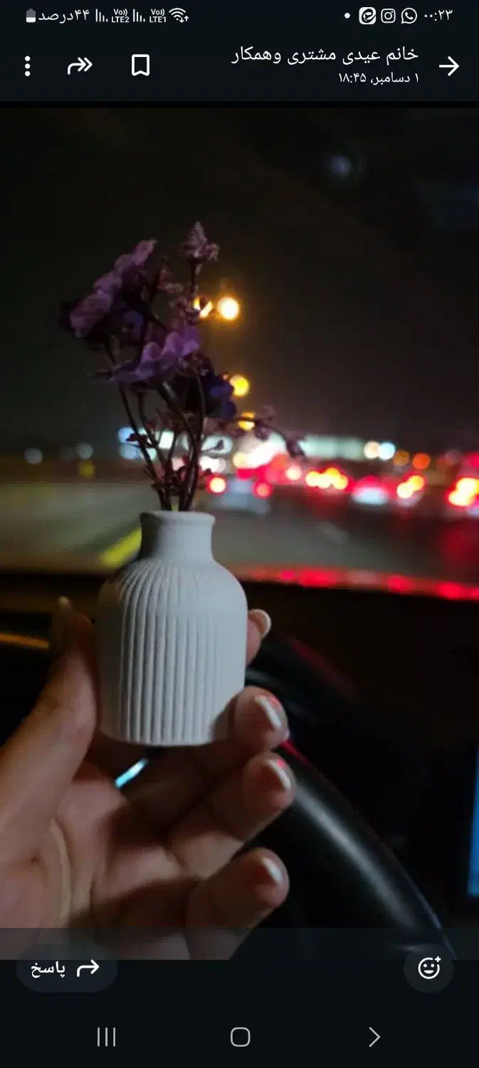 مراکشی گلدان ۵سانتی|گل و گیاه طبیعی|مشکین‌دشت, |دیوار