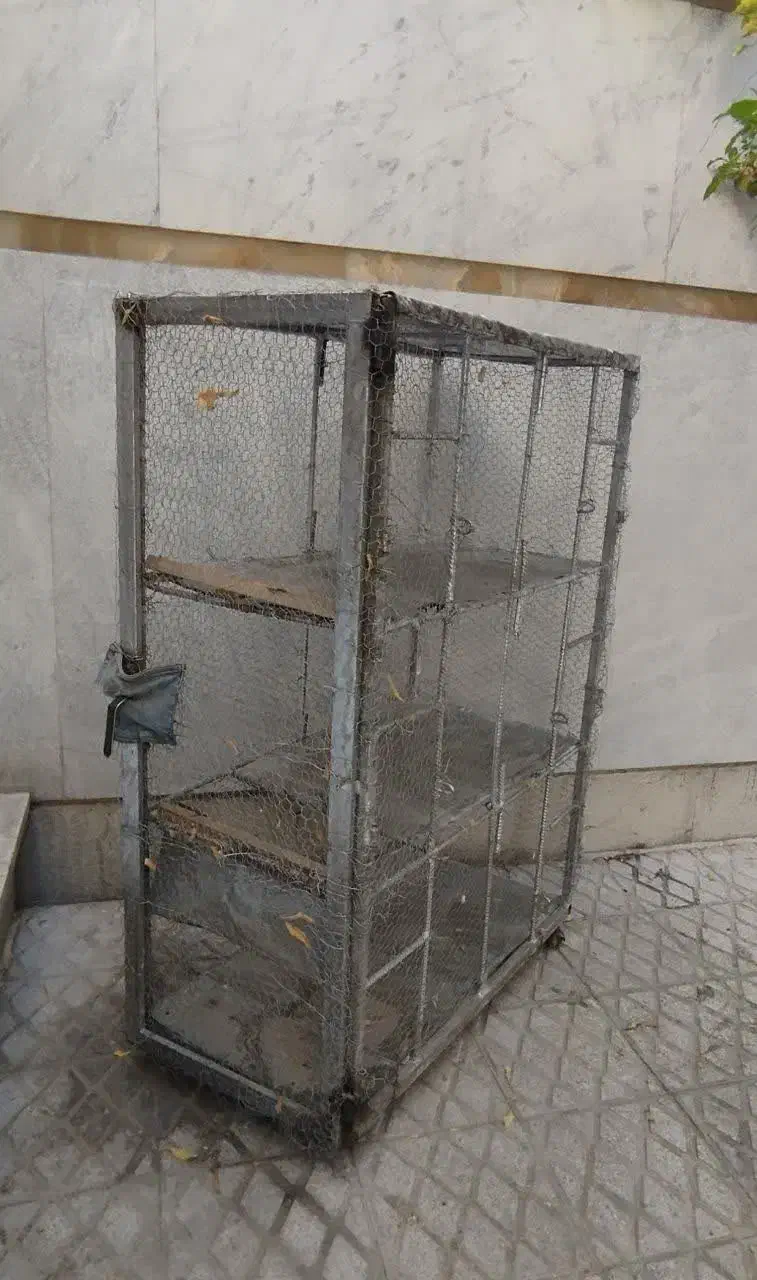 قفس پرنده|لوازم جانبی حیوانات|اصفهان, سروستان|دیوار