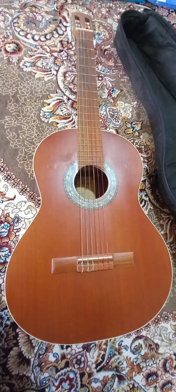 گیتار پارسی|گیتار، بیس، امپلیفایر|سجاس رود, |دیوار