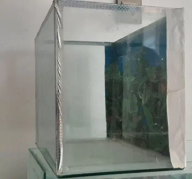 دو عدد اکواریوم|ماهی|شیراز, گویم|دیوار