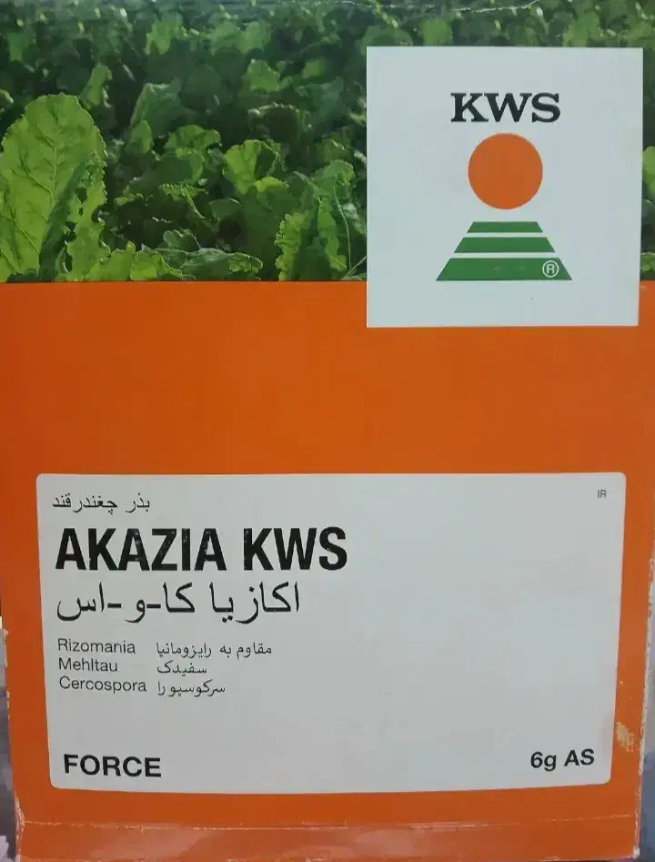 بذر چغندر|خدمات باغبانی و درختکاری|فریمان, |دیوار