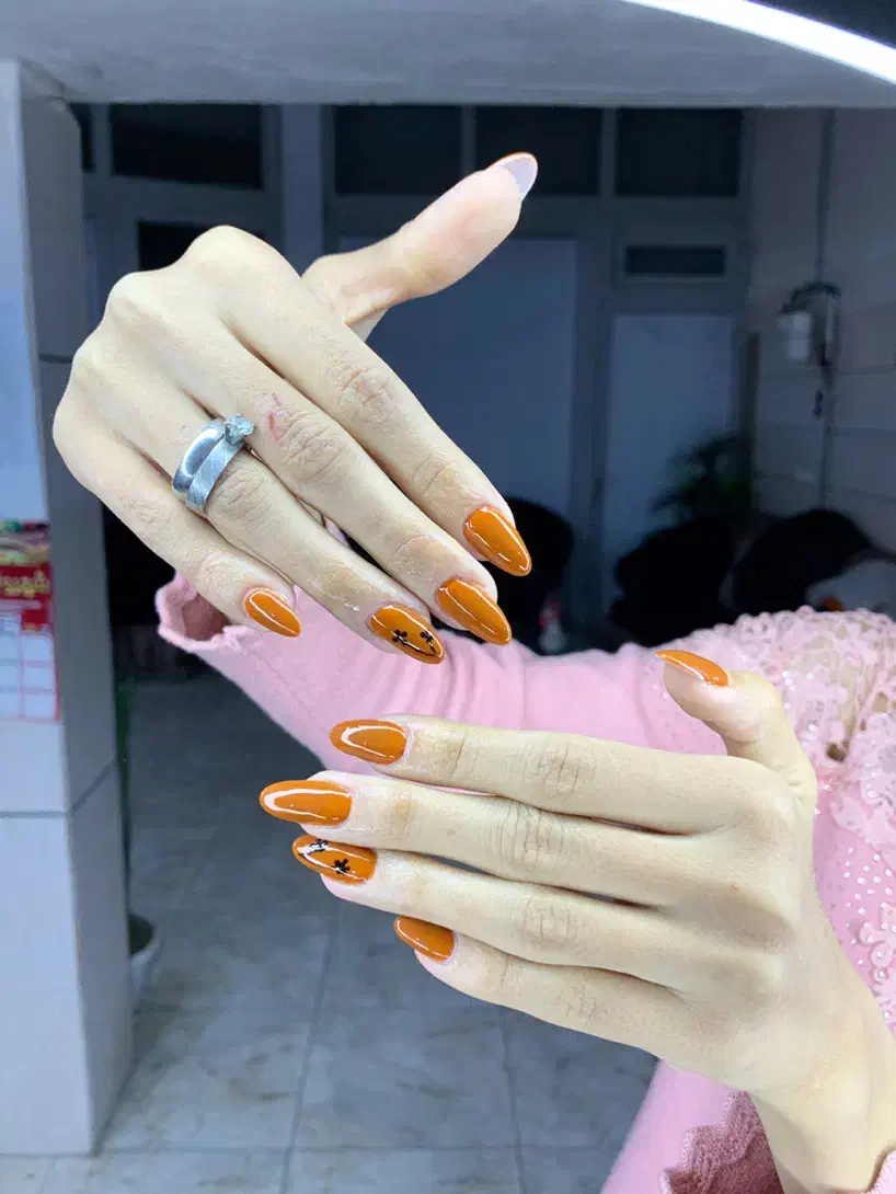 مدل برای کاشت|خدمات آرایشگری و زیبایی|سلماس, |دیوار