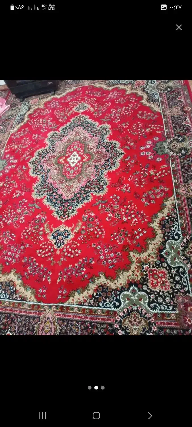 فرش ۱۲ متری|فرش|تاکستان, |دیوار