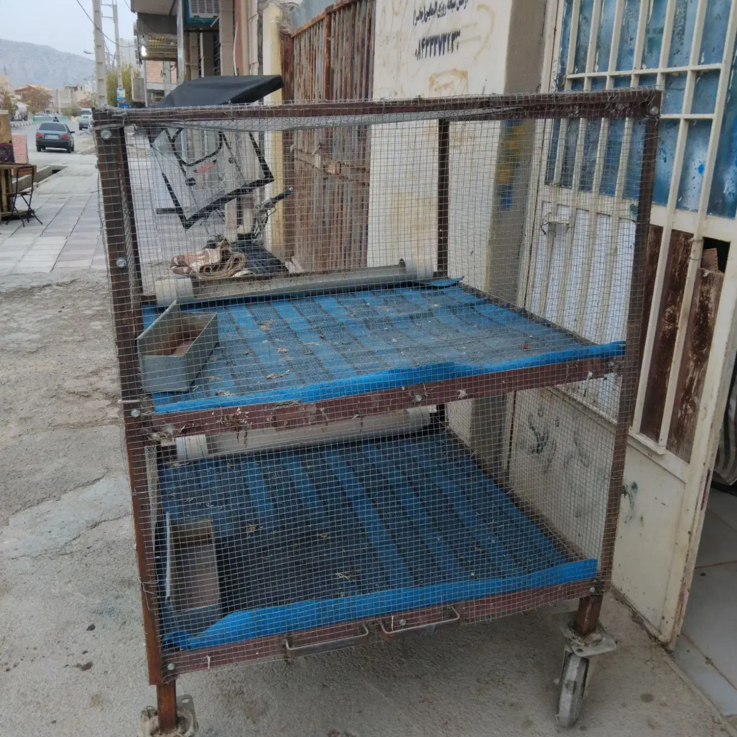 قفس بزرگ|حیوانات مزرعه|ایلام, |دیوار