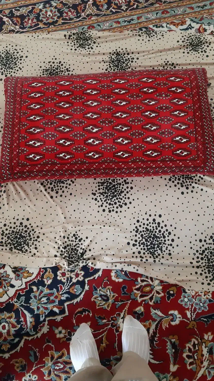 هشت عدد پشتی نونو رنگ لاکی|پشتی|سبزوار, امیر کبیر|دیوار